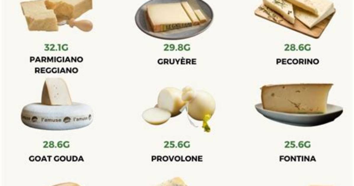 Is Cheese Lipid or Protein?