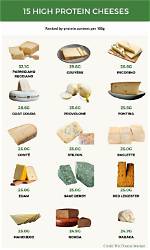 Is Cheese Lipid or Protein?