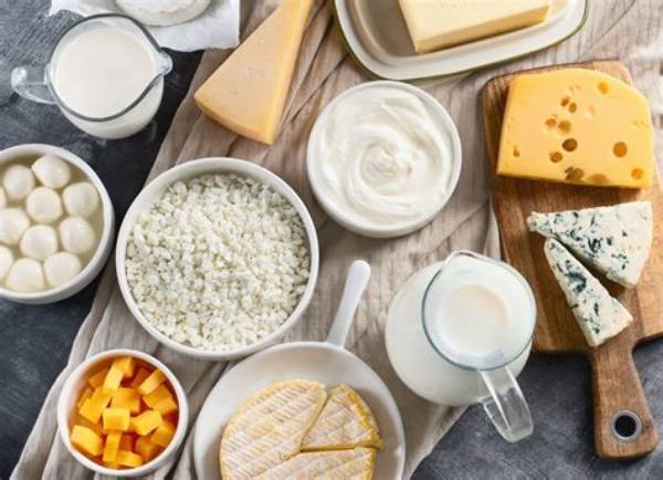 Is Dairy Products Good for Jaundice?