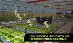 Is Indoor Hydroponics Profitable?