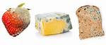 Is It Bad to Eat Moldy Nacho Cheese?