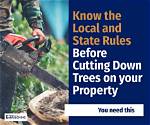 Is It Legal to Cut Down a Redwood Tree?