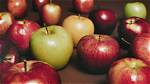 Is It Ok to Eat Apples with Worm Holes?