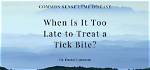 Is It Too Late to Treat for Grubs?