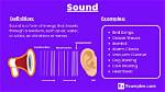 Is Not Sound Meaning?