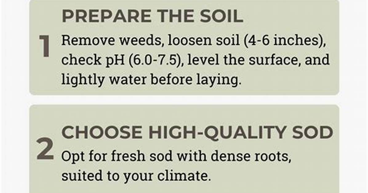Is November Too Late for Sod?