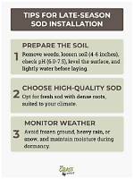 Is November Too Late for Sod?