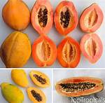Is Papaya Good for 1 Year Old Baby?