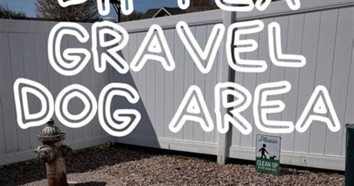 Is Pea Gravel Good for Dog Potty Area?