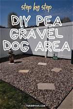 Is Pea Gravel Good for Dog Potty Area?