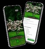 Is There an App to Identify Trees and Shrubs?