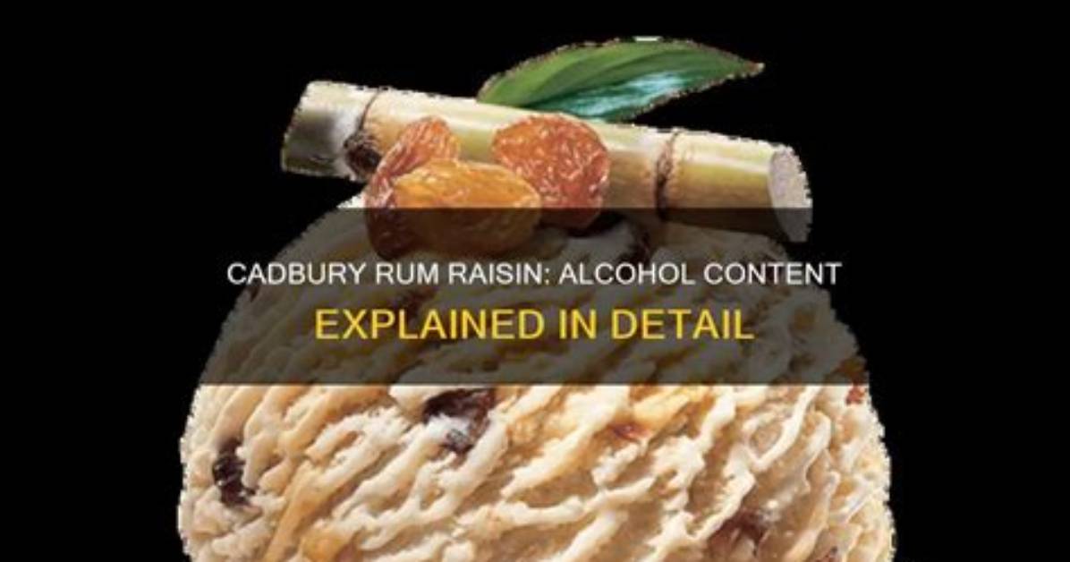 Is There Any Alcohol in Rum Raisin Ice Cream?