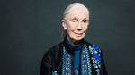 Jane Goodall Wikipedia, Biography, Age, Height, Husband, Net Worth, Children