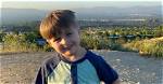 Lucas Lopez Age: 10 Facts on Addison Rae Brother