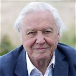 Robert Attenborough: Wiki, Bio, Age, Height, Wife, Facts