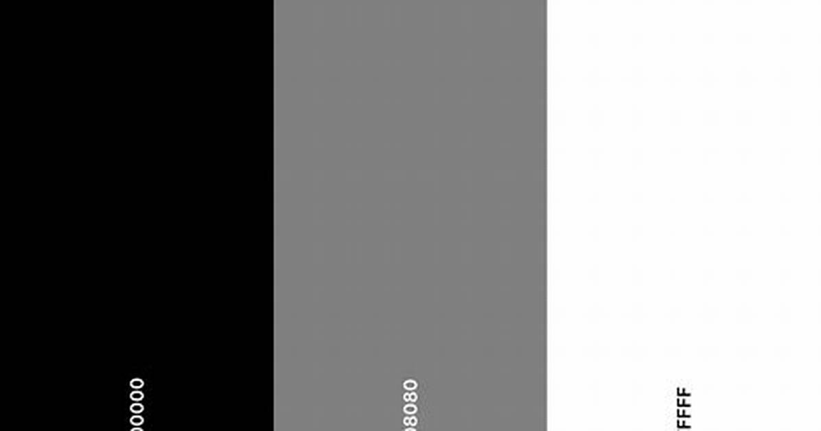 What Are Black and White Colours Called?