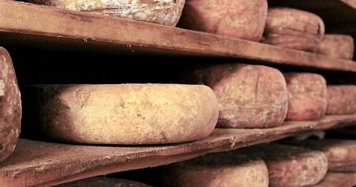 What Are Examples of Ripened Cheese?