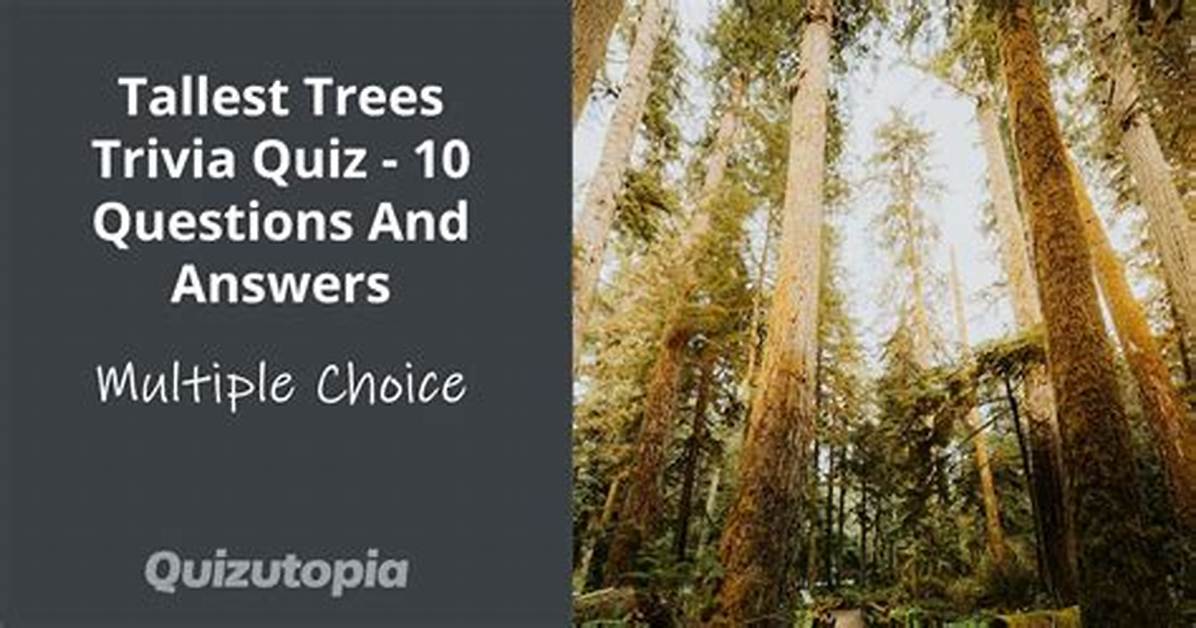 What Are Good Questions About Trees?