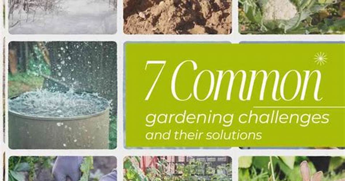 What Are Some Challenges of Gardening?