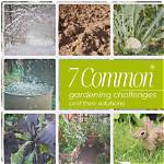 What Are Some Challenges of Gardening?