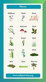 What Are the Names of Plants with Pictures?