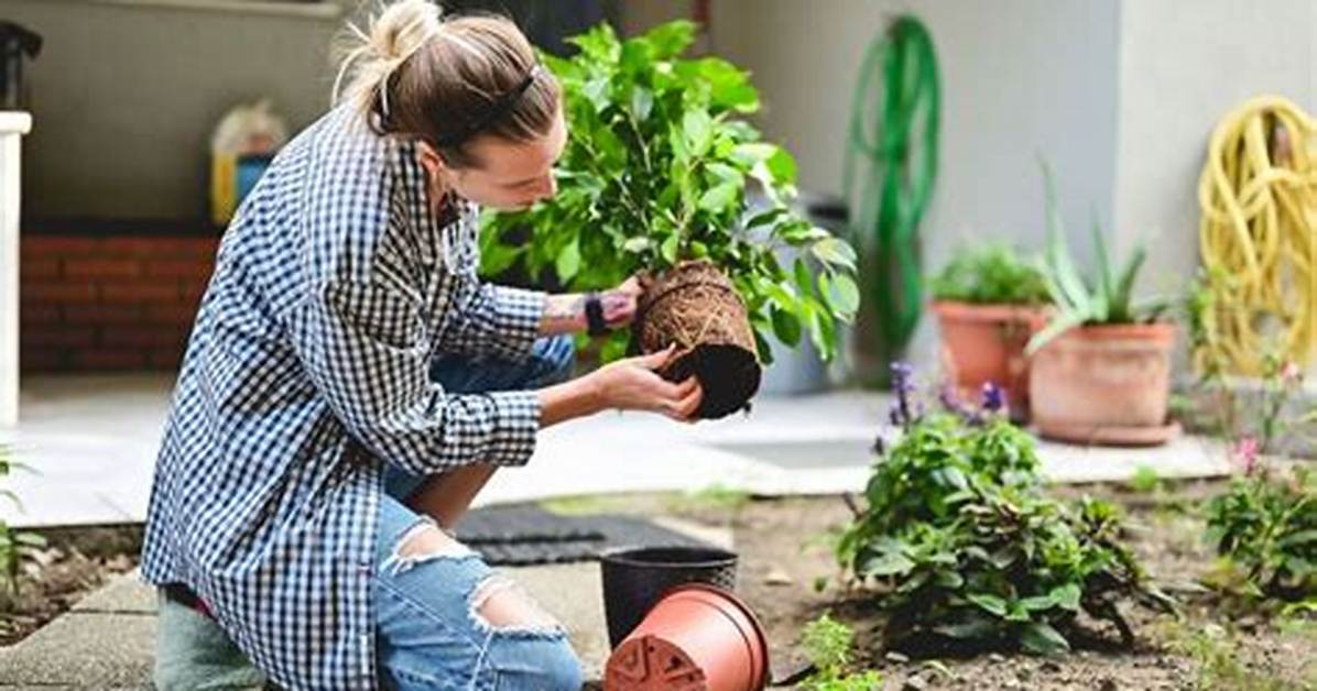 What Are the Problems in Gardening?