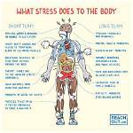 What Can You Do About Stress on Trees?