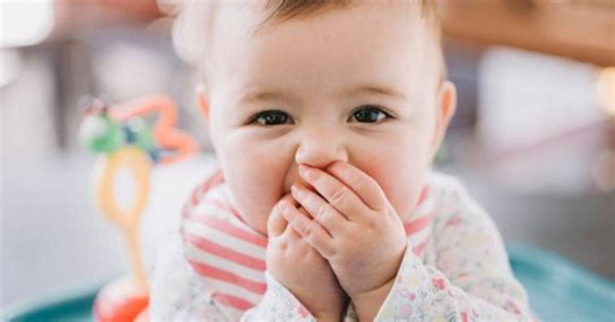 What Can You Do with a Baby in Ottawa?