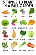 What Can You Plant in the Fall in Zone 8?