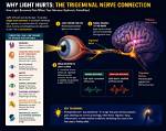 What Causes Light to Release a Certain Color?