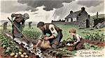 What Did the Irish Eat Before Potatoes?