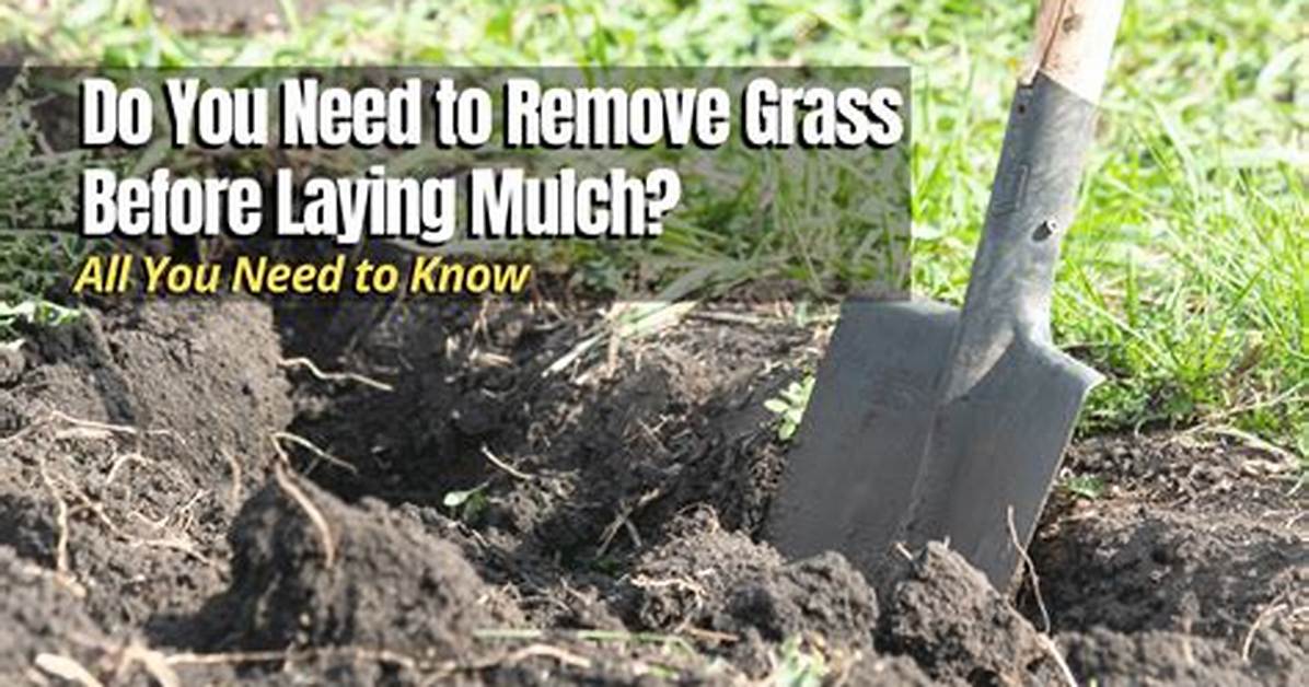What Do You Do with Pulled Grass?