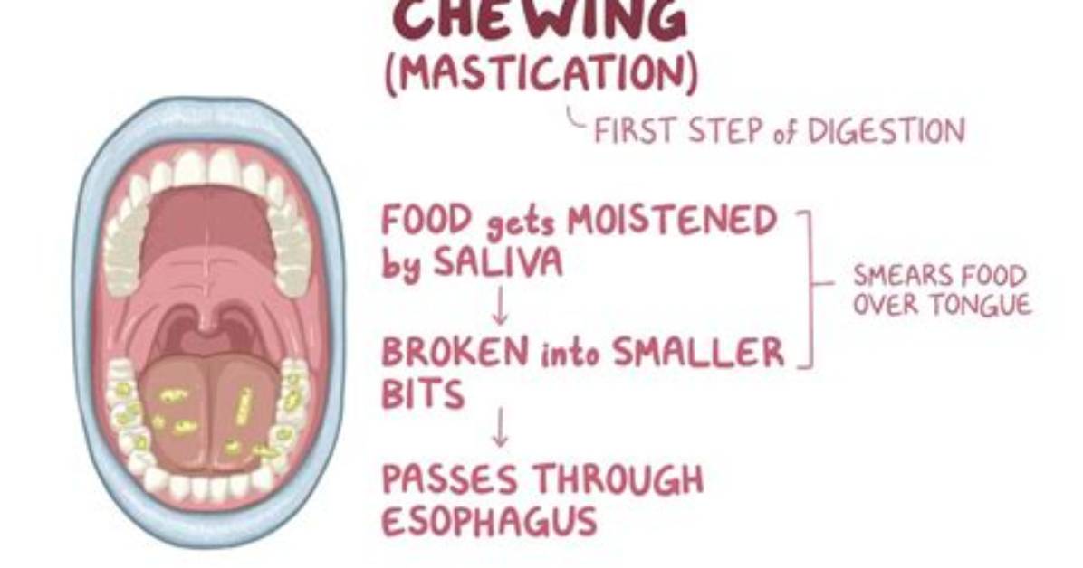 What Does It Mean If You Chew Ice Cream?
