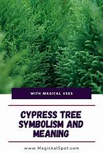 What Does the Cypress Tree Symbolize in the Bible?