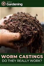 What Does Worm Castings Do for Plants?