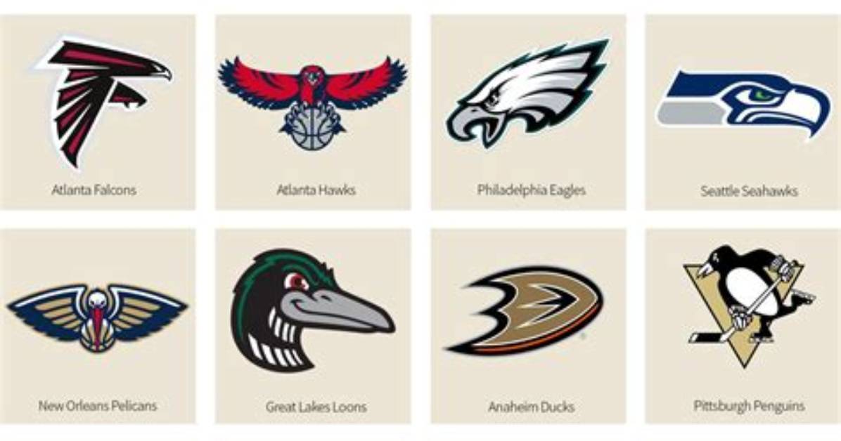 What Football Team Has a Bird Logo