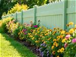 What Grows Well Along a Fence?