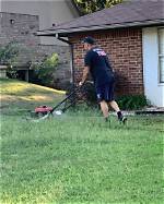 What Helps a Struggling Lawn?