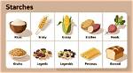 What Is Considered a Starch?