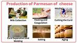 What Is Parmesan Cheese Made of?