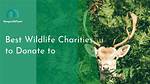 What Is the Best Charity to Donate Clothes to?