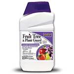 What Is the Best Fungicide for Trees?