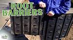 What Is the Best Root Barrier?