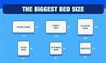 What Is the Biggest Bed Size?