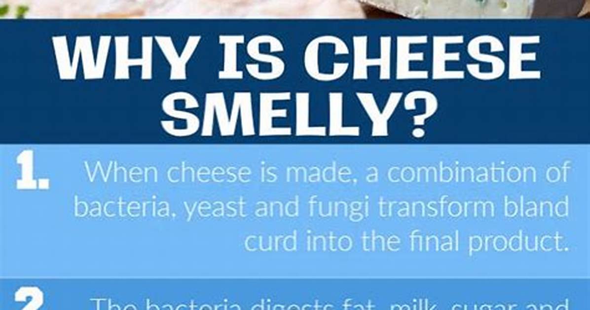 What Is the Cheese That Smells Bad?