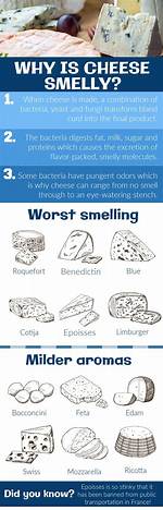 What Is the Cheese That Smells Bad?