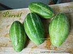 What Is the English Name Parval?