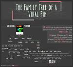 What Is the Lifespan of a Pin Oak Tree?