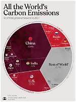 What Is the Main Disadvantage of Emission Trading?