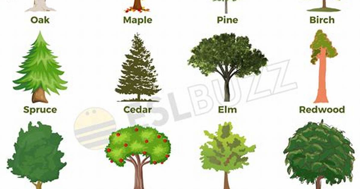 What Is the Name of the Tree That Has Heart-Shaped Leaves?